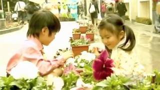 kawabe chieco - sakura kiss (ouran high school host club opening).