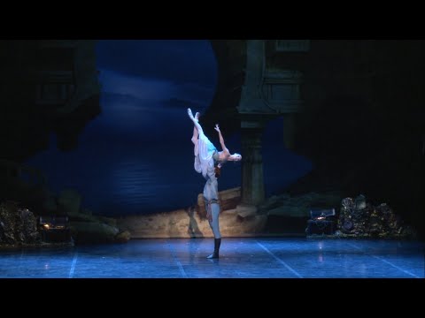 Maria Kochetkova & Michal Krcmar, Le Corsaire - cave pas de deux
