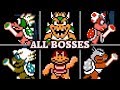 Super Mario Bros 3 All Boss Fights Ending No Damage