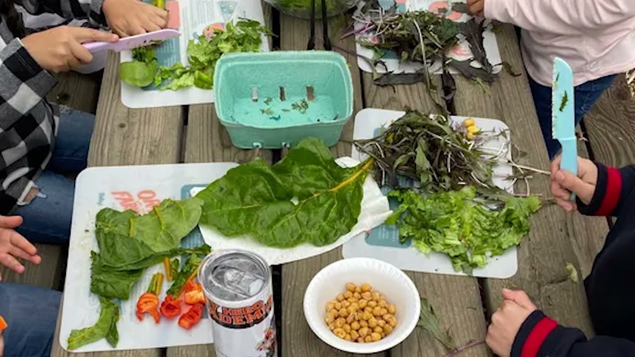 YOLO FARM TO FORK'S GARDEN-BASED LEARNING PLANTS THE SEEDS FOR A HEALTHIER FUTURE.