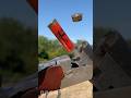 VINTAGE SHOTGUN TEST Ammo Shells Review Shoot Gun Asmr Usa Hunter Huntting Rdr2