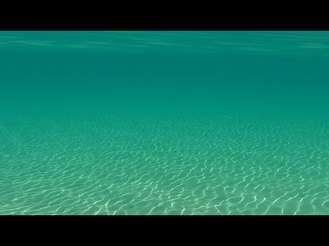 Cam gibi deniziyle ERİKLİ 🌴