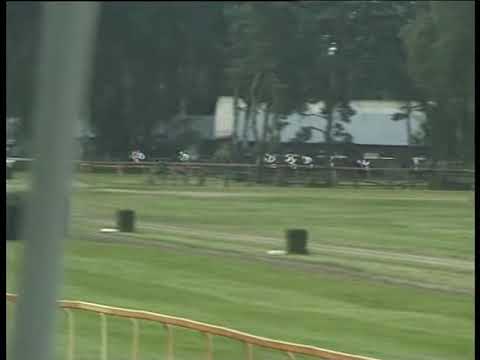 LL, 6. 7. 2020, 7. dostih - Handicap hotelu Olympionik