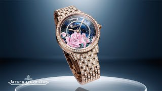  Rendez-Vous Shooting Star: a new interpretation 