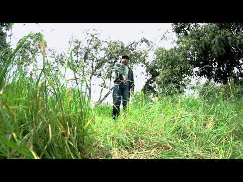 Arte Elegante  Buscando un Chance (video oficial)