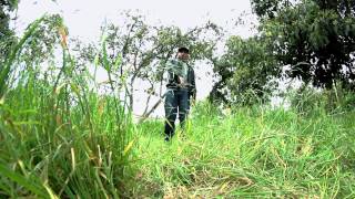 Arte Elegante  Buscando un Chance (video oficial)
