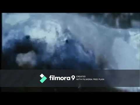 Romasanta Werewolf Transformation (in reverse)