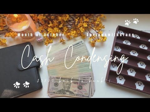 BARGELDKONDENSATION | 3500 $ zurück auf die Bank!!! Monat Oktober | #cashbudgeter #Geld #asmrmoney