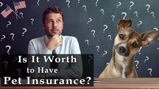 Is Pet Insurance Worth it? | Is Pet Insurance Worth the Cost? - Is Cat Insurance worth it !!