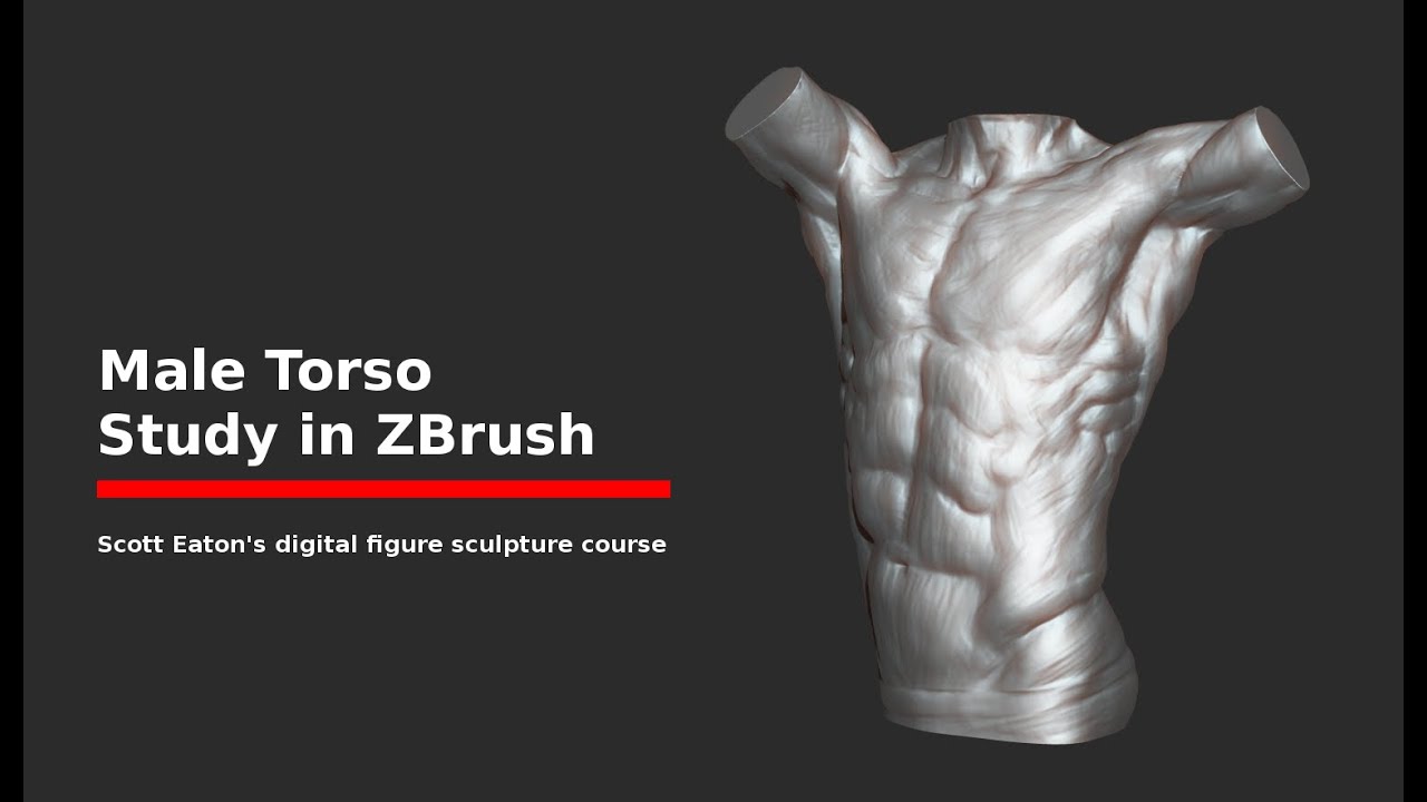 Scott Eaton's Digital Figure Sculpture: week 1 - torso sculpt timelapse