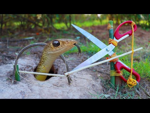 Easy Snake Trap Creative Method DIY Snake Trap Using Cutter That Work 100