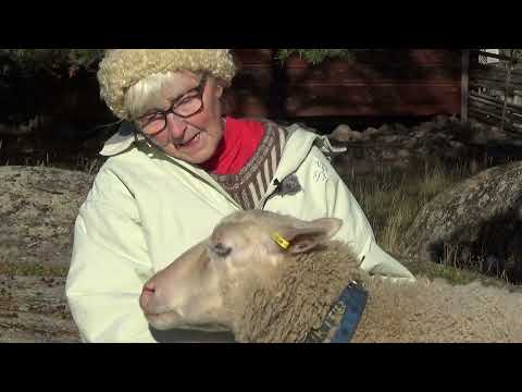 Överjärva Gård - Kulturmiljö att vara rädd om