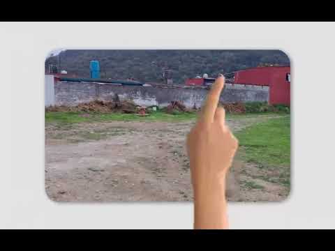 Campaña Jóvenes por la Paz 🌎 🕊️ CONALEP Orizaba Ricardo Flores Magón 