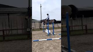 Yeah HE can jump..me though?🤣 #horse #equestrianjourney #equestrian #horsegirl #pony #horsegirls