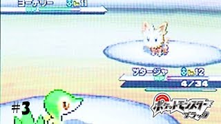 【ゆっくり実況】回復は大事！！【ポケットモンスターブラック】#3