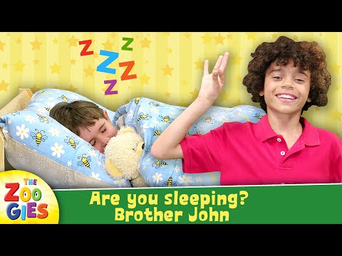 Are you sleeping? (Brother John) - The Zoogies