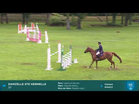 CIR SHF 2018 - CSO Compiègne 5 ans - Damzelle Ste Hermelle