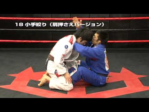 Daisuke Sugie - Winning Grappling & Jiu-jitsu (BJJ Elite) - 1. Gi demonstration