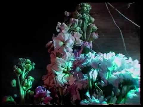 AARON RUMORE - NIENTE #video