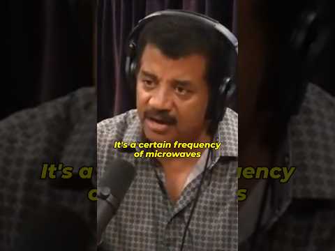 Microwaves: Safe or Not 🤔 with Neil deGrasse Tyson #shorts #facts #podcast
