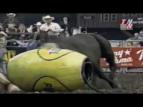Dillinger bucks Chris Shivers - 01 PBR Nashville