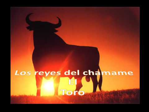 Chamame el toro