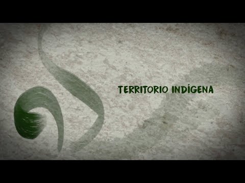 COME SOLE E LUNA/MVLXSHV/Inkognito