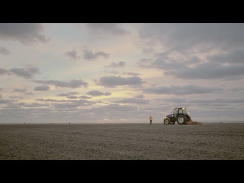 Trailers The Shore