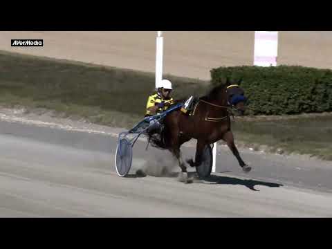 Corsa Proprietari - martedì 4 ottobre 2022