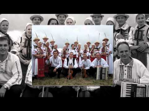 Cununa Somesana Floresti - Colaj poze