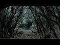 Sleepy Hollow Lair Of The Witch
