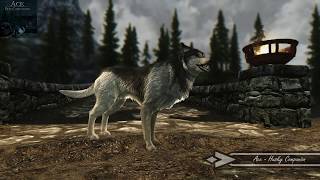Skyrim Mod Showcase: Ace - Dog Companion
