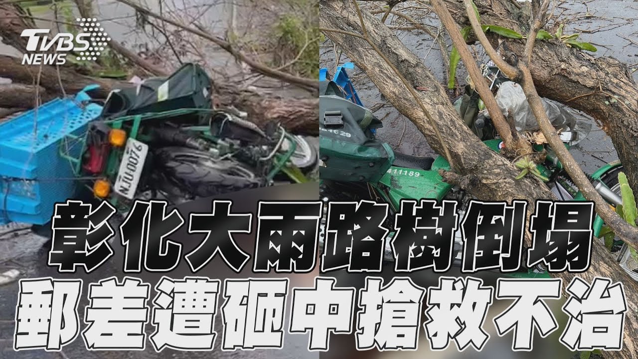 雨彈炸中台灣！彰化「郵差」送信遭路樹擊落　到院前死亡