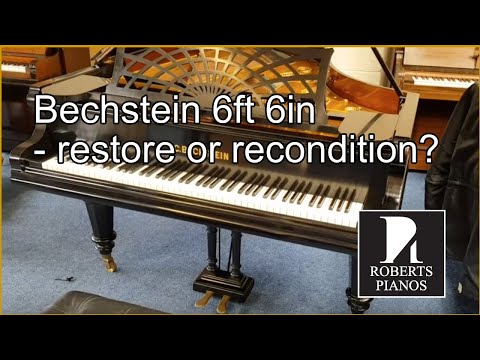 Bechstein 6ft 6in - restore or recondition?