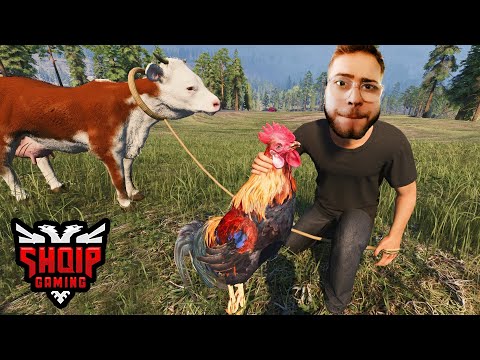 Risi në Fermën tonë !! *Update i Ri* - Ranch Simulator | SHQIPGaming