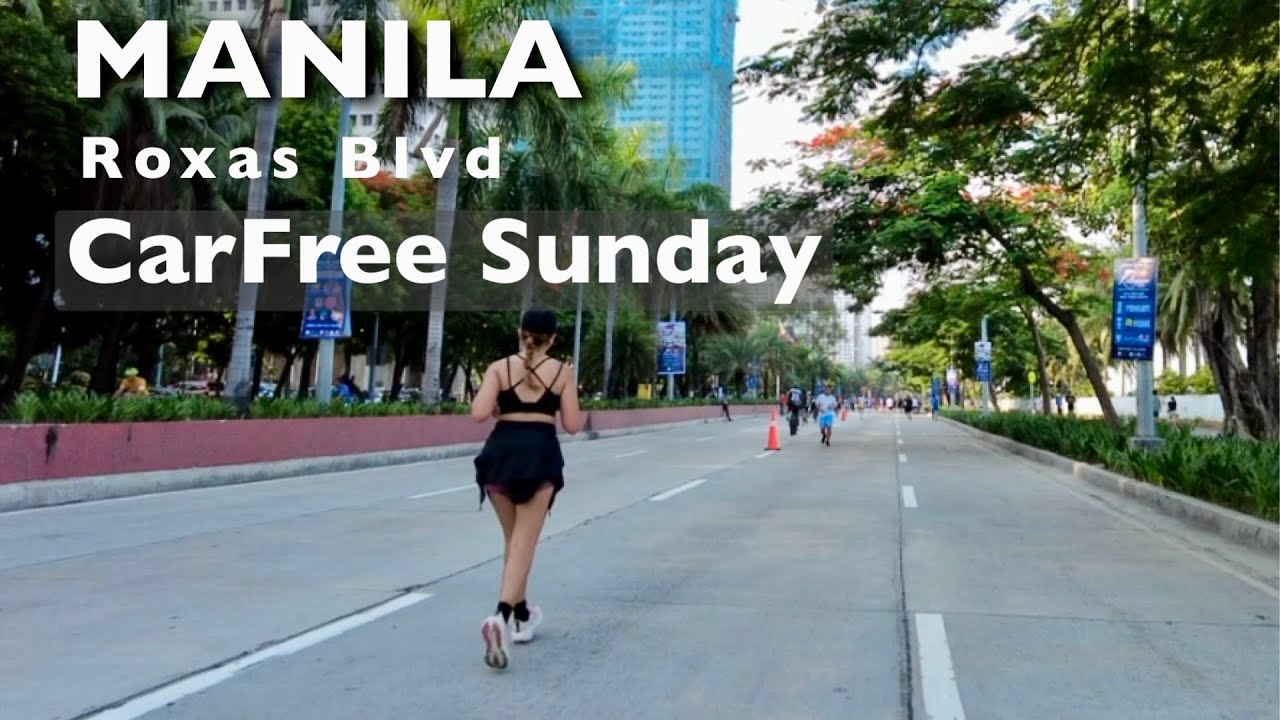 A digital stroll past palm-lined paths and bayfront breeze at Roxas Boulevard.