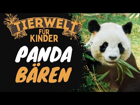 Episode 1: Panda Bears - Animal World for Children - Learning Video in German
