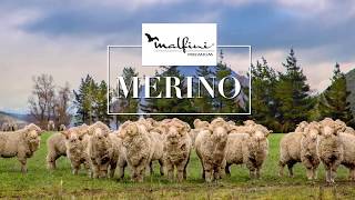 Tričko pánske Merino Rise 157 MALFINI Premium®