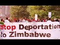SECOND UK DEPORTATIONS CHARTER FLIGHT TO ZIMBABWE CONFIMED DAILY NEWS