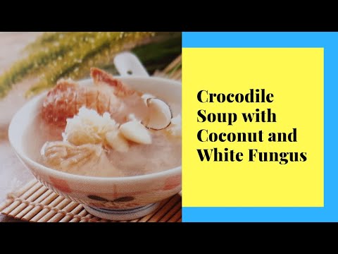Crocodile Meat Soup with Coconut and Fungus