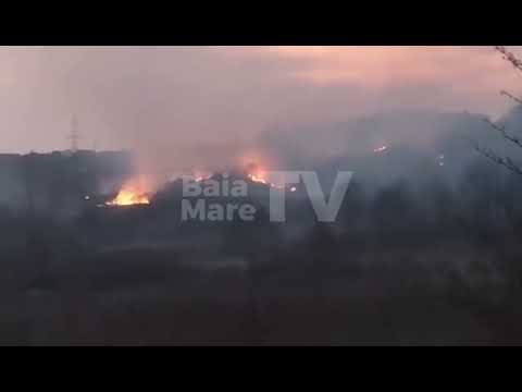Incendiu puternic vegetatie Satu nou de Jos