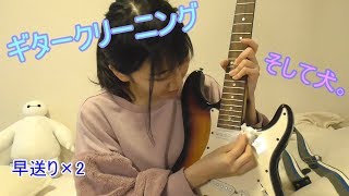 ギタークリーニング、そして犬。
