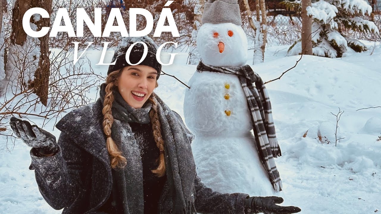 Canadá vlog: Compras no Walmart, boneco de neve, café e reflexões