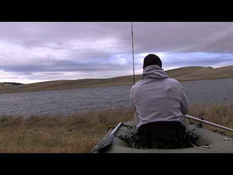 pulp fishing lincoln