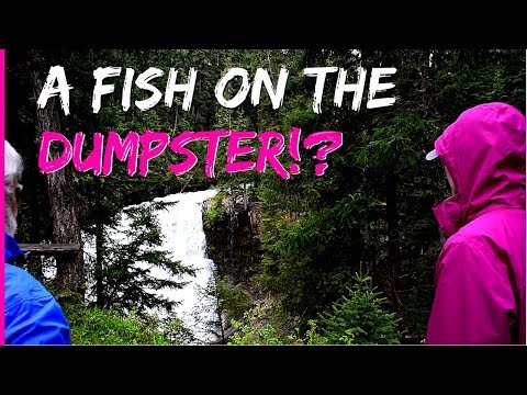 Ousel Falls easy hike (plus a burger and a beer at Scissorbills saloon) - Big Sky Montana