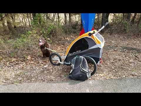 best rechargeable rear bike light