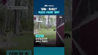 '딩동~ 계세요?' 미국서 포착된 흑곰의 귀여운 '벨튀' #JTBC #Shorts