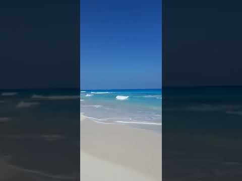 اخر ايام الصيفية ,,،🏊🏄🏄