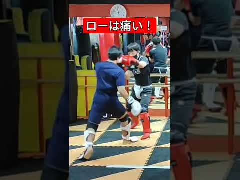 マススパーでもローは痛い#オーガニック菊﨑#ローキック#スパーリング
