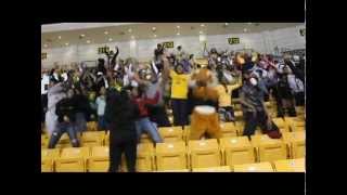preview picture of video 'Grambling Harlem Shake'